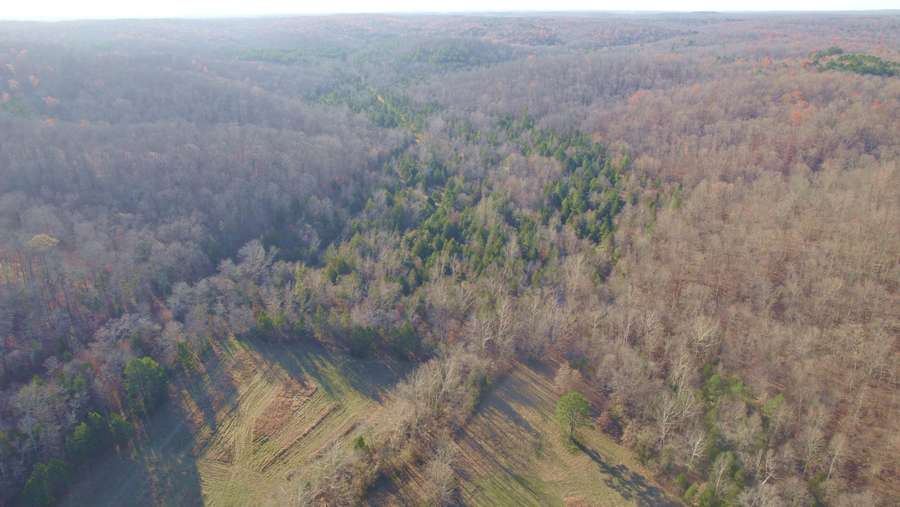 3498 STATE HIGHWAY E, ZALMA | BOLLINGER COUNTY MO 223 - AVAILABLE